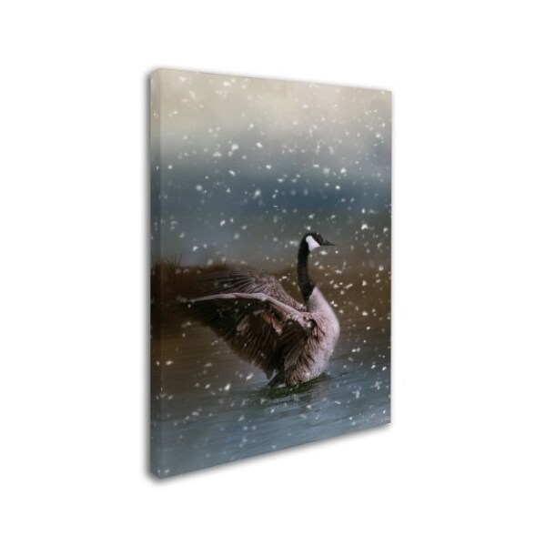 Jai Johnson 'Snowy Swim' Canvas Art,14x19